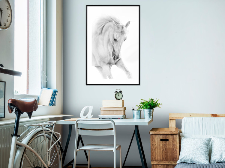 Wall Poster White Horse - black and white sketched portrait of a majestic animal 116503 additionalImage 4