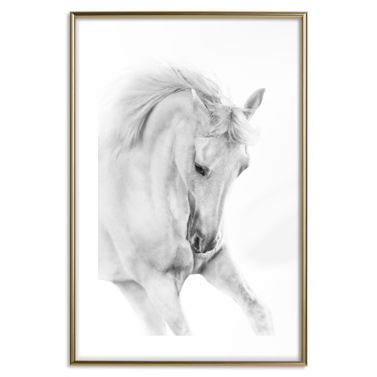 Wall Poster White Horse - black and white sketched portrait of a majestic animal 116503 additionalImage 14
