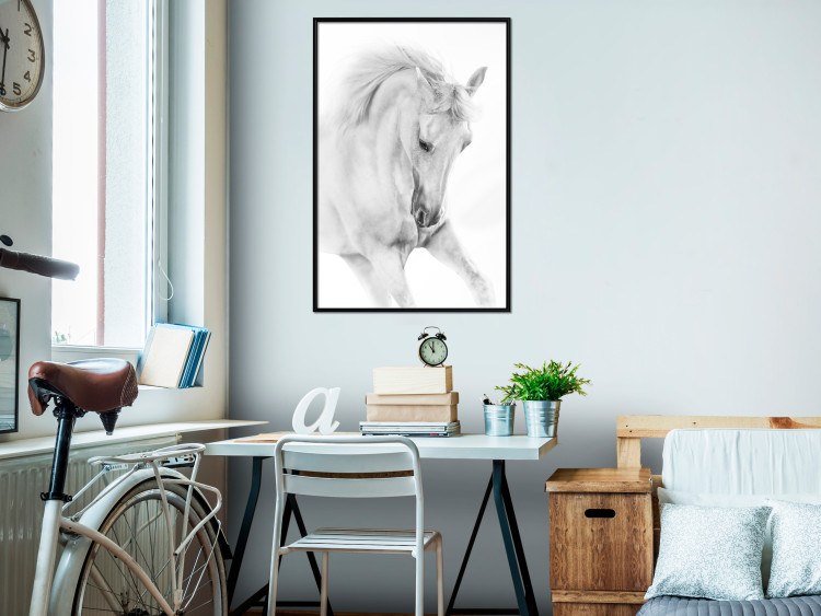 Wall Poster White Horse - black and white sketched portrait of a majestic animal 116503 additionalImage 3