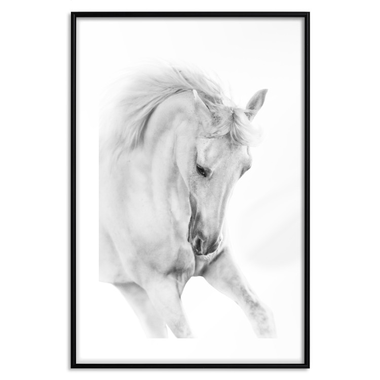 Wall Poster White Horse - black and white sketched portrait of a majestic animal 116503 additionalImage 15