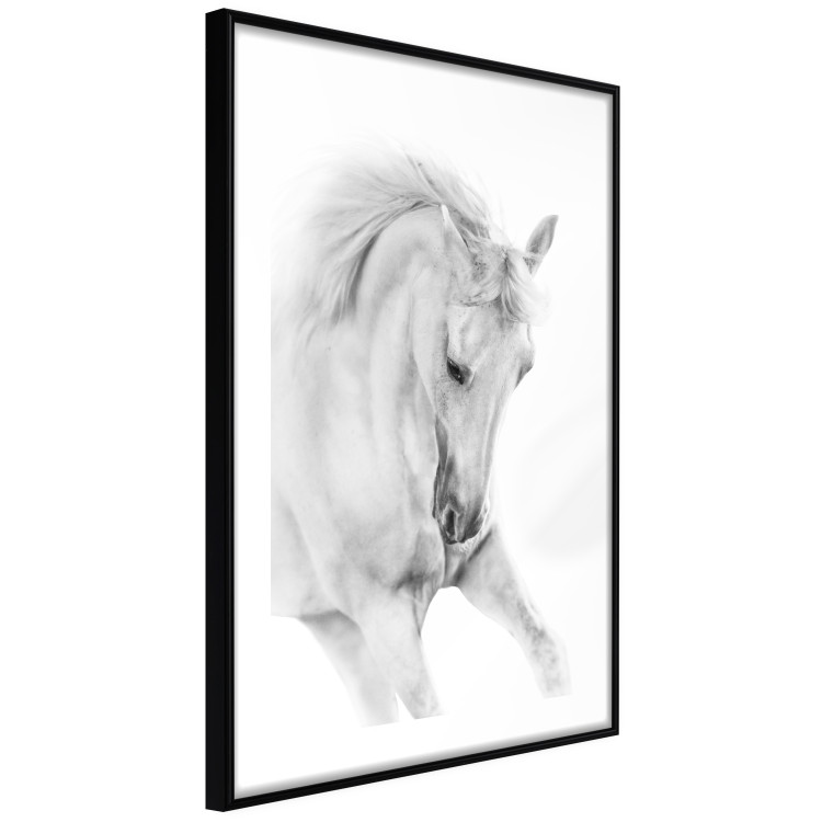 Wall Poster White Horse - black and white sketched portrait of a majestic animal 116503 additionalImage 11