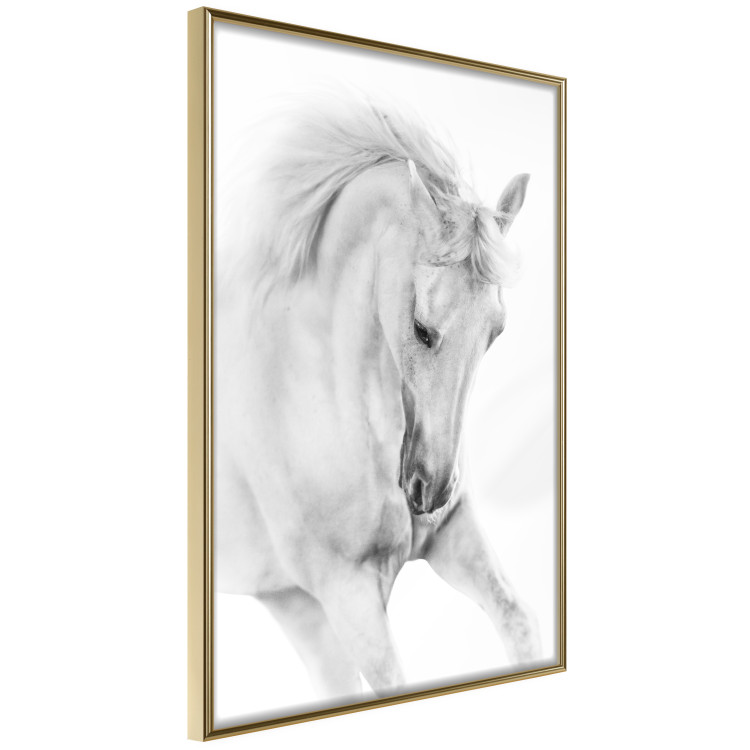 Wall Poster White Horse - black and white sketched portrait of a majestic animal 116503 additionalImage 12