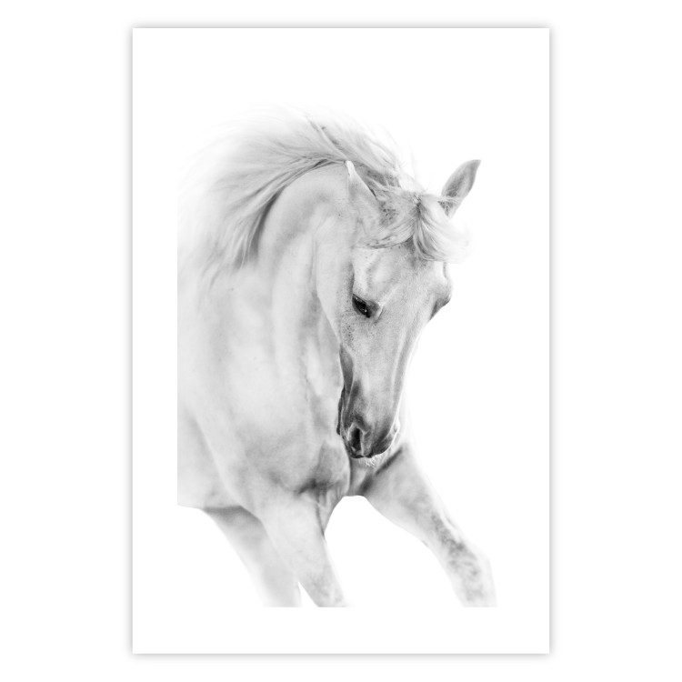Wall Poster White Horse - black and white sketched portrait of a majestic animal 116503 additionalImage 19