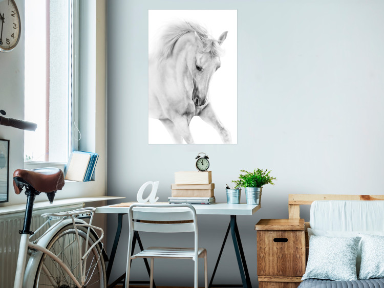 Wall Poster White Horse - black and white sketched portrait of a majestic animal 116503 additionalImage 17