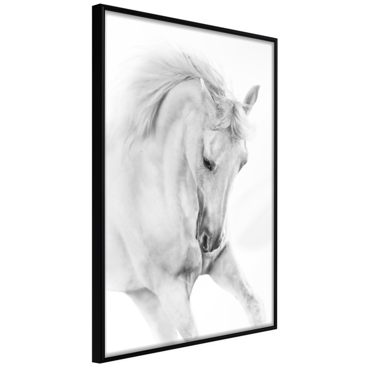 Wall Poster White Horse - black and white sketched portrait of a majestic animal 116503 additionalImage 10