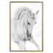 Wall Poster White Horse - black and white sketched portrait of a majestic animal 116503 additionalThumb 16