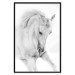 Wall Poster White Horse - black and white sketched portrait of a majestic animal 116503 additionalThumb 18