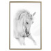 Wall Poster White Horse - black and white sketched portrait of a majestic animal 116503 additionalThumb 14