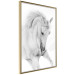 Wall Poster White Horse - black and white sketched portrait of a majestic animal 116503 additionalThumb 12