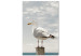 Canvas Art Print Watching Bird (1-part) - Seagull Against Sea and Cloudy Sky 117003