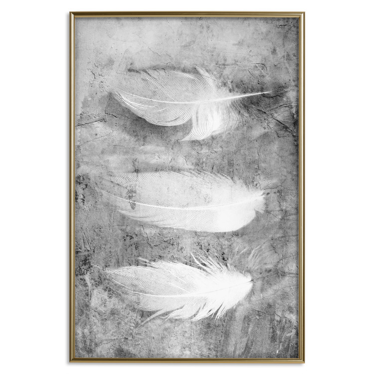 Wall Poster Fleeting Mystery - three feathers on a concrete background in black and white texture 123203 additionalImage 15
