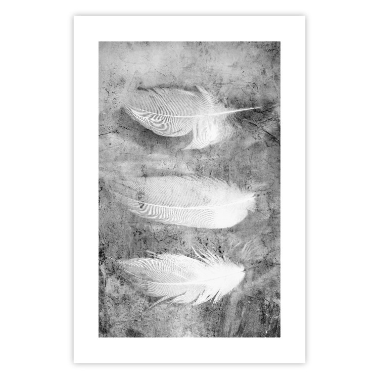 Wall Poster Fleeting Mystery - three feathers on a concrete background in black and white texture 123203 additionalImage 18