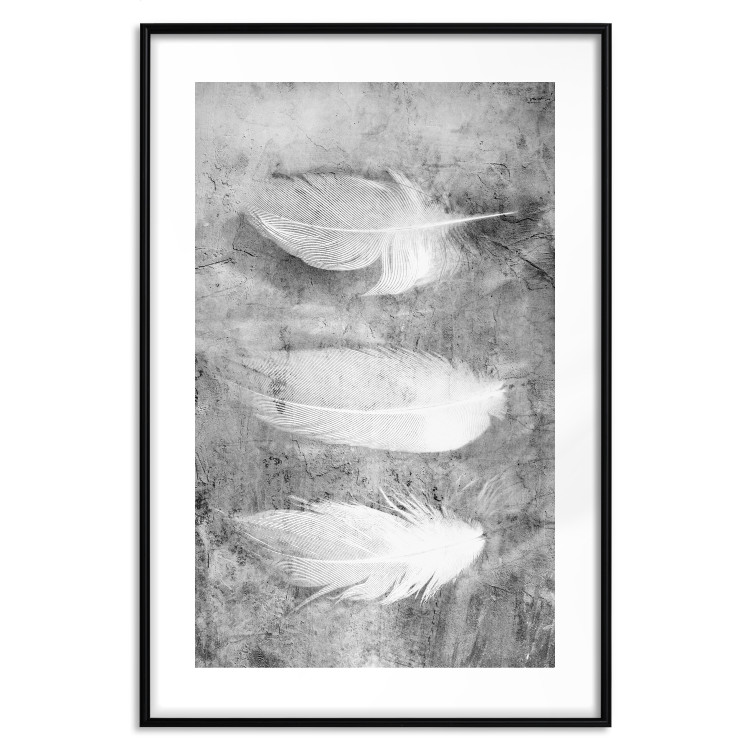 Wall Poster Fleeting Mystery - three feathers on a concrete background in black and white texture 123203 additionalImage 14