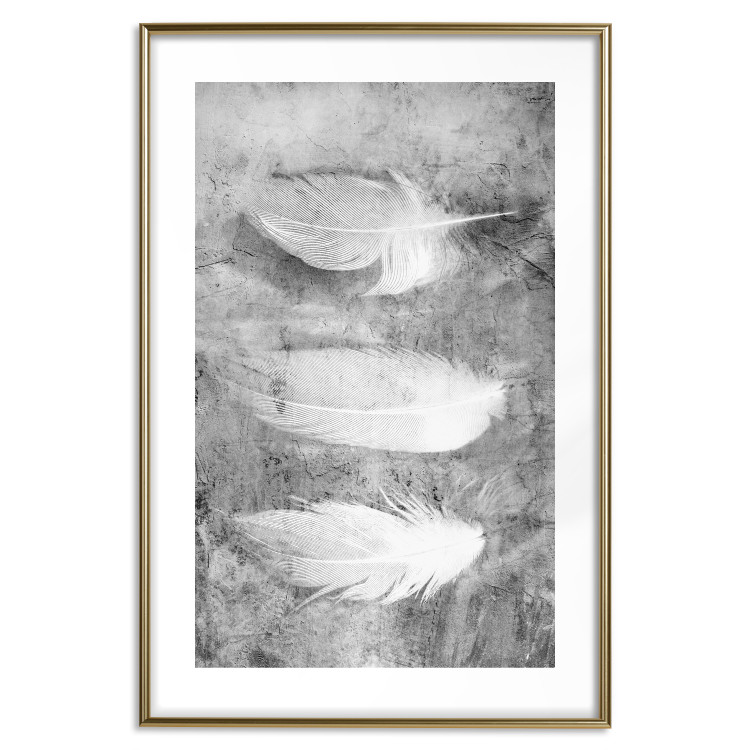 Wall Poster Fleeting Mystery - three feathers on a concrete background in black and white texture 123203 additionalImage 16