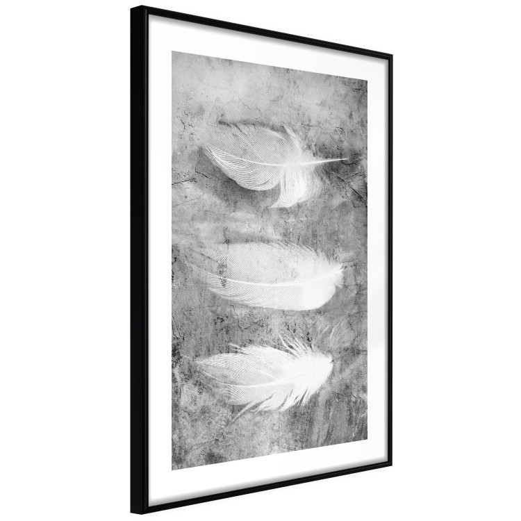 Wall Poster Fleeting Mystery - three feathers on a concrete background in black and white texture 123203 additionalImage 11