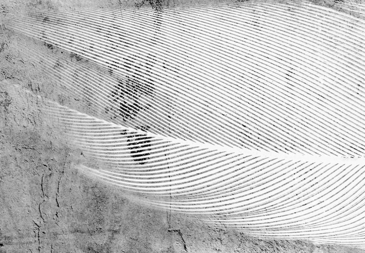 Wall Poster Fleeting Mystery - three feathers on a concrete background in black and white texture 123203 additionalImage 8