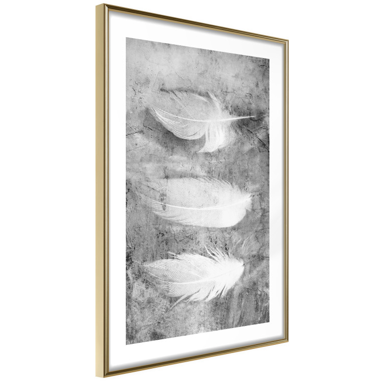 Wall Poster Fleeting Mystery - three feathers on a concrete background in black and white texture 123203 additionalImage 6