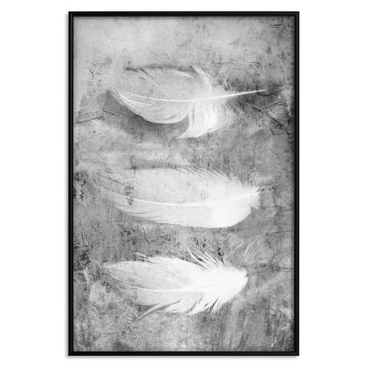 Wall Poster Fleeting Mystery - three feathers on a concrete background in black and white texture 123203 additionalImage 17