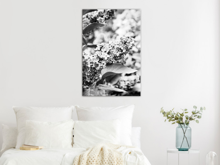 Canvas Art Print Blooming lilac - black and white photograph of lilac bush with flowers 123903 additionalImage 3