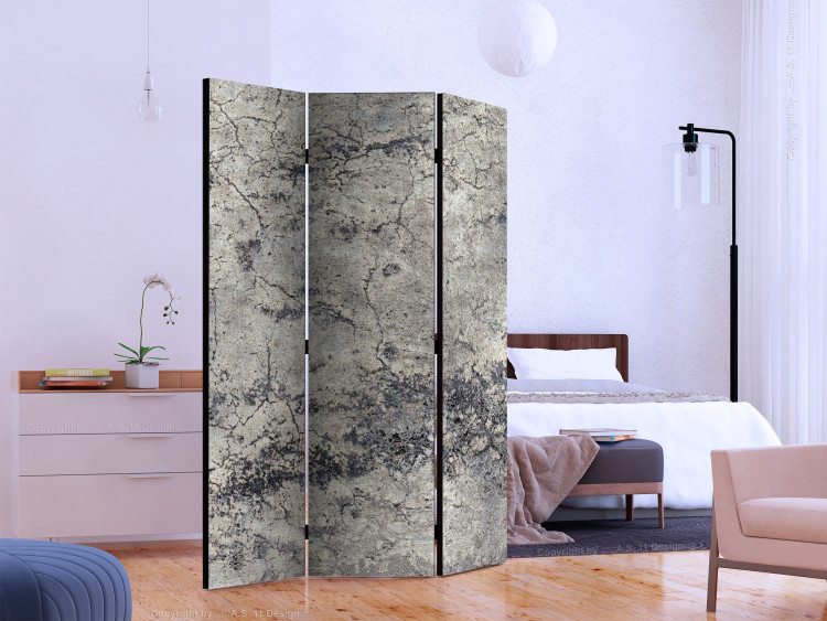 Room Separator Grey Lady (3-piece) - urban pattern with stone and concrete texture 124103 additionalImage 2
