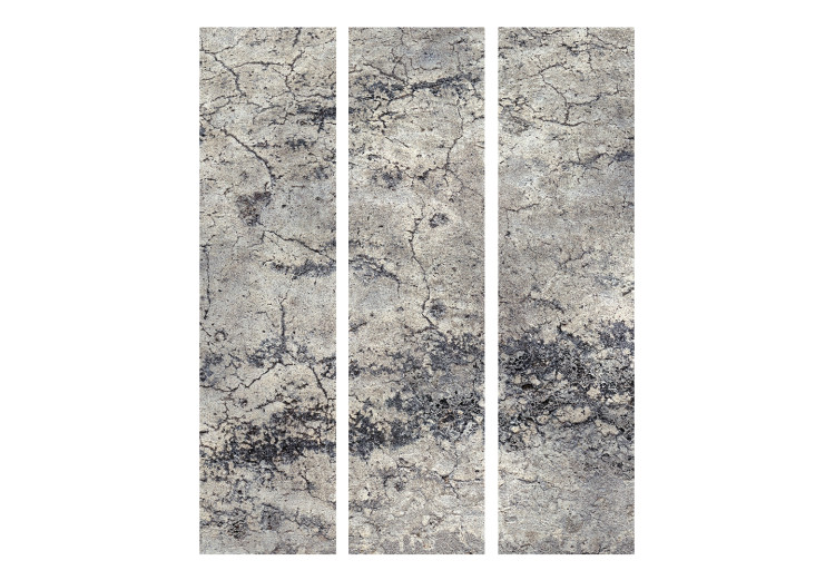 Room Separator Grey Lady (3-piece) - urban pattern with stone and concrete texture 124103 additionalImage 3