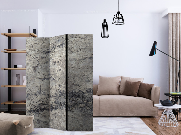 Room Separator Grey Lady (3-piece) - urban pattern with stone and concrete texture 124103 additionalImage 4