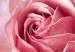 Canvas Rose and Fur (1 Part) Vertical 127303 additionalThumb 5