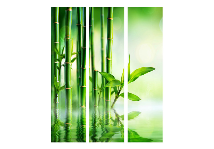 Room Divider Screen Bamboo Grove (3-piece) - simple green composition in zen style 133103 additionalImage 3