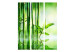Room Divider Screen Bamboo Grove (3-piece) - simple green composition in zen style 133103 additionalThumb 3