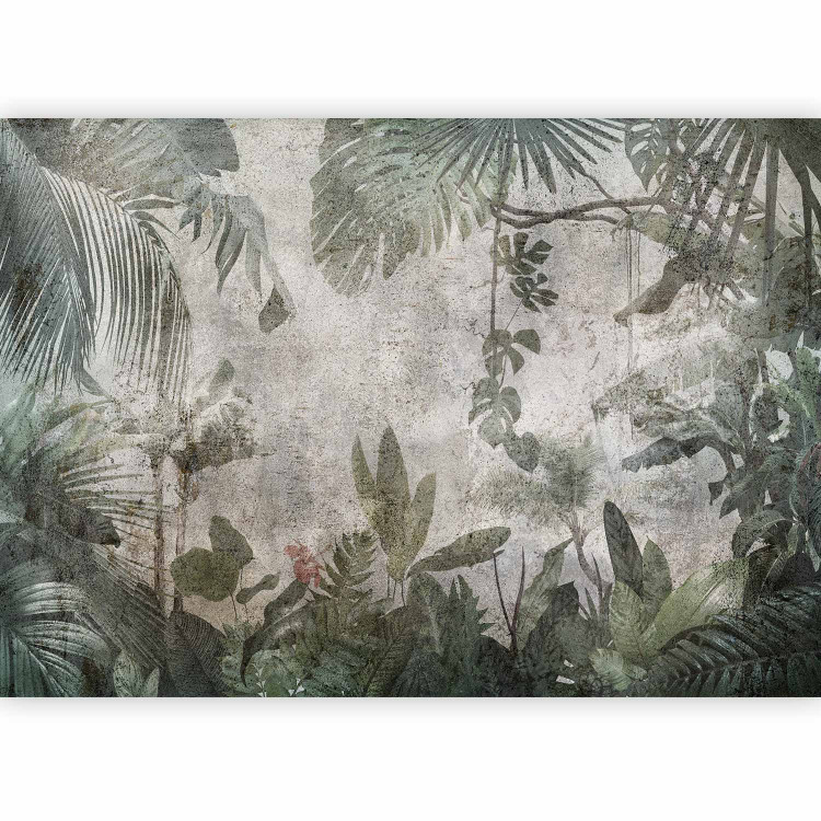 Wall Mural Rain Forest in the Fog 134803 additionalImage 1