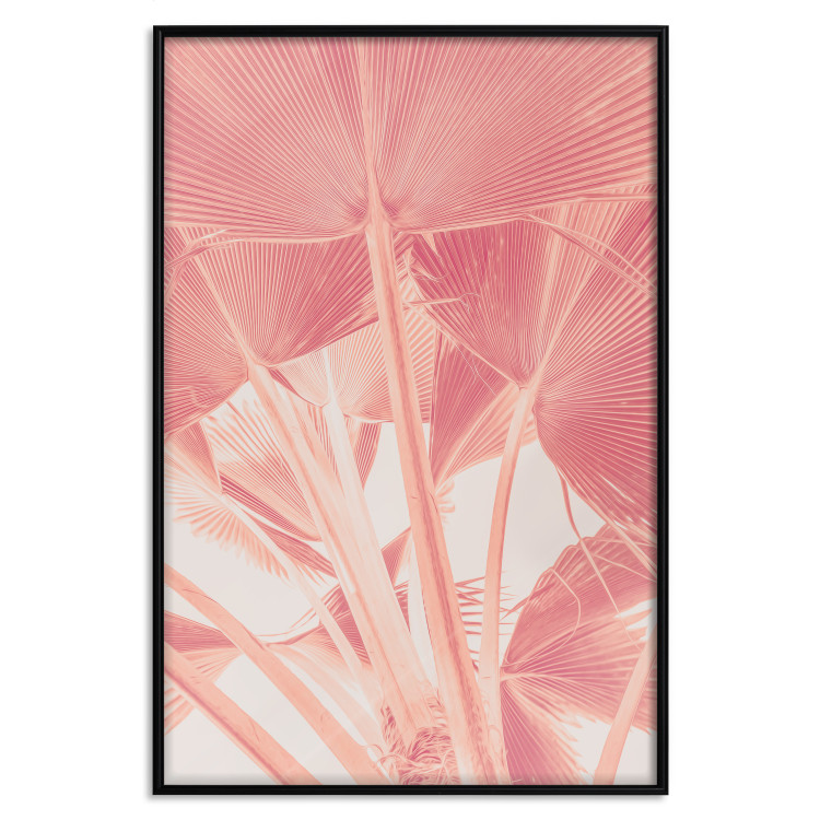 Poster Pastel Palms - plant composition of palms in red contrast 135003 additionalImage 18
