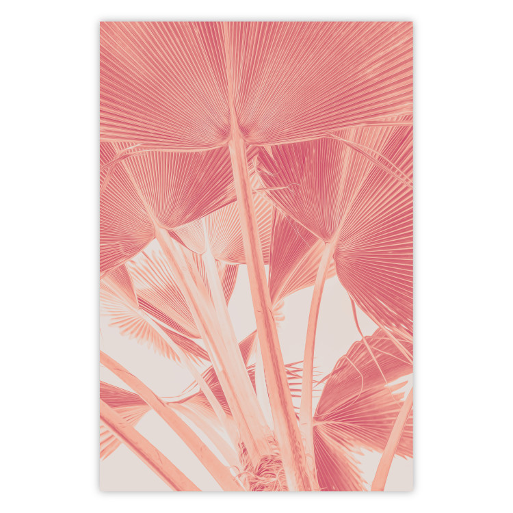 Poster Pastel Palms - plant composition of palms in red contrast 135003