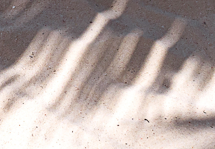 Wall Poster Rest in the Shade - tropical composition of palm shadow on sand 135303 additionalImage 19