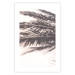 Wall Poster Rest in the Shade - tropical composition of palm shadow on sand 135303 additionalThumb 2