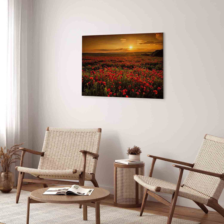 Canvas Poppy Field (1-piece) Wide - landscape of a field of red flowers 137503 additionalImage 9