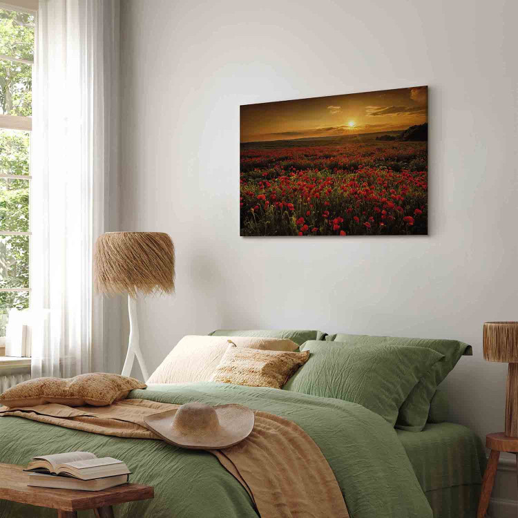 Canvas Poppy Field (1-piece) Wide - landscape of a field of red flowers 137503 additionalImage 4