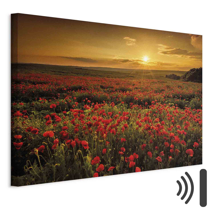 Canvas Poppy Field (1-piece) Wide - landscape of a field of red flowers 137503 additionalImage 8