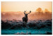 Large canvas print Frosted Field [Large Format] 137703