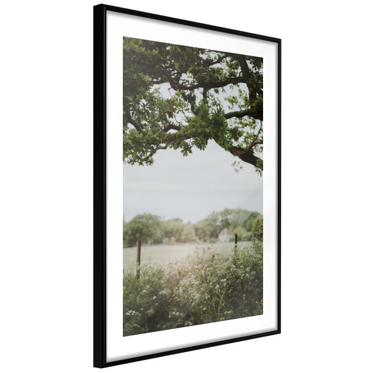 Poster Sunny Day - Landscape of a Green Meadow Away From the City 150303 additionalImage 6