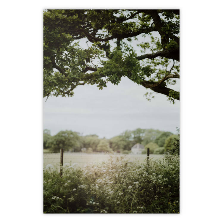 Poster Sunny Day - Landscape of a Green Meadow Away From the City 150303