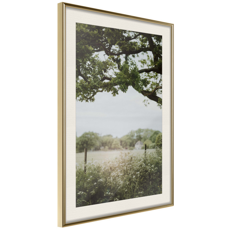 Poster Sunny Day - Landscape of a Green Meadow Away From the City 150303 additionalImage 9