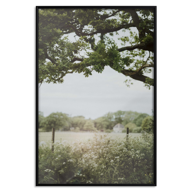 Poster Sunny Day - Landscape of a Green Meadow Away From the City 150303 additionalImage 21