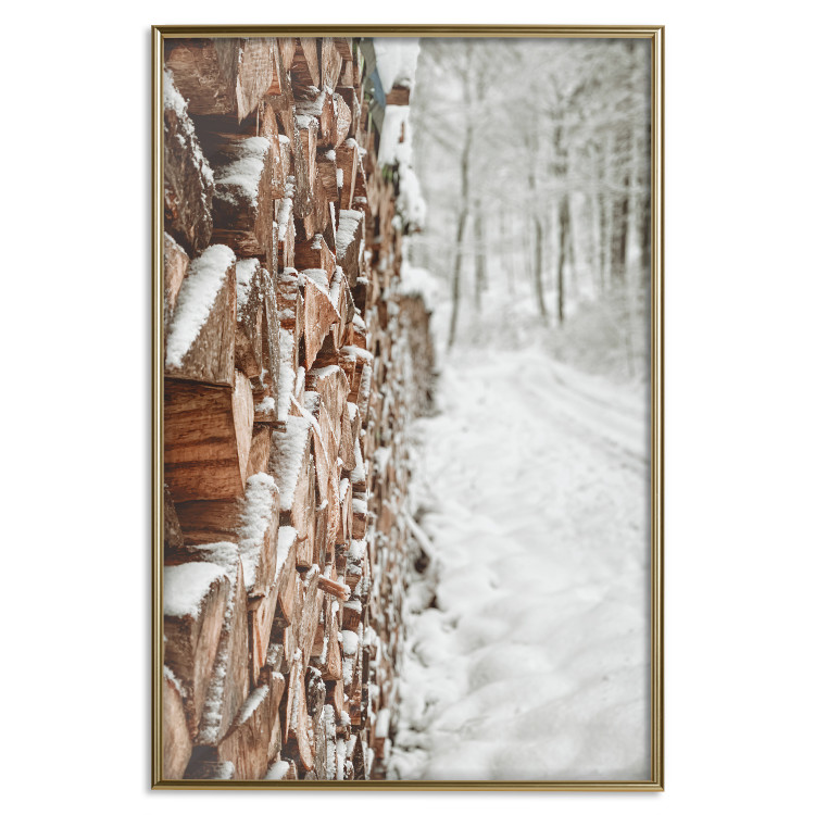 Poster Winter Forest - Photography of a Pile of Wood on a Snowy Forest Road 151703 additionalImage 26