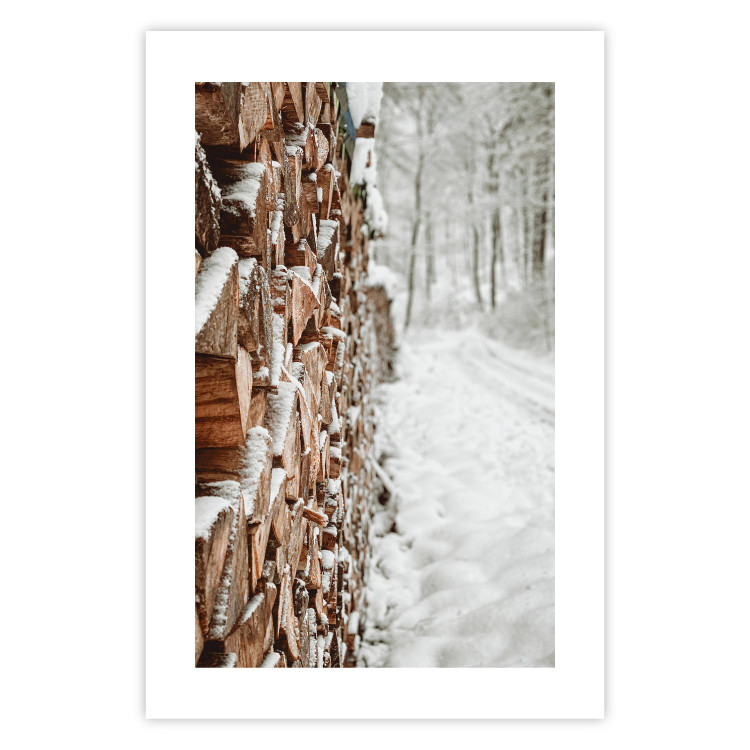 Poster Winter Forest - Photography of a Pile of Wood on a Snowy Forest Road 151703 additionalImage 20