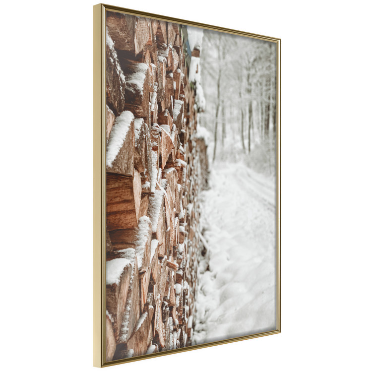Poster Winter Forest - Photography of a Pile of Wood on a Snowy Forest Road 151703 additionalImage 7