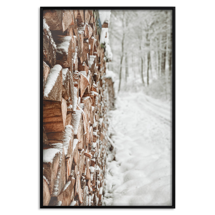 Poster Winter Forest - Photography of a Pile of Wood on a Snowy Forest Road 151703 additionalImage 21
