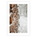 Poster Winter Forest - Photography of a Pile of Wood on a Snowy Forest Road 151703 additionalThumb 20