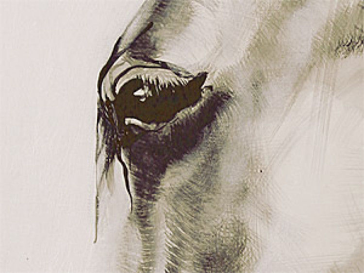Canvas Horse profile 49503 additionalImage 2