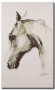 Canvas Horse profile 49503