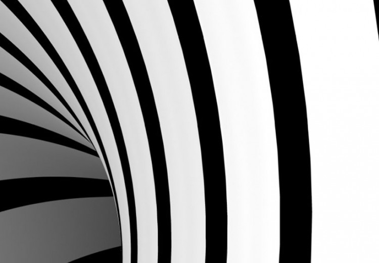 Canvas A black & white hole 56603 additionalImage 5